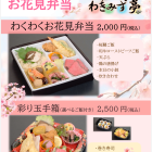 🌸2026お花見弁当登場🌸